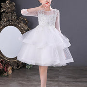 Beaded Lace Embroidered Mesh Layer Princess Party Dress