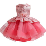 Elegant Vintage Rose Princess Dress
