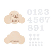 1 Set Wooden Baby Month Milestone Card Flower