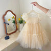 Girls Champagne Sequin Dress – Elegant Party Princess Outfit