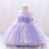 Embroidery Lace and Floral Appliques Princess Party Dress